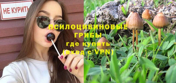 кокс Новокубанск