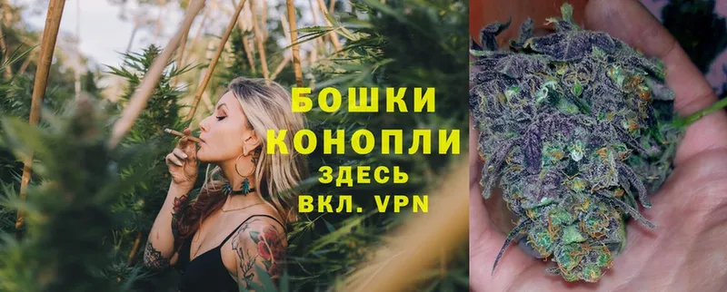 как найти   Инсар  Марихуана White Widow 